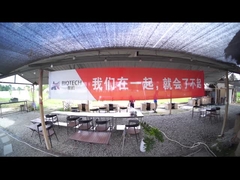 Attività di squadra