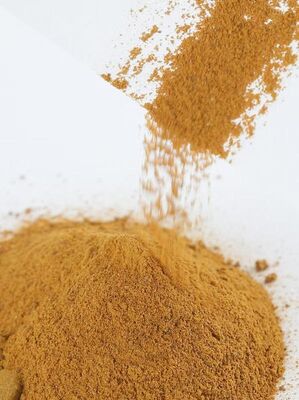 POLIDIDROSSIINDOLO — Melammina