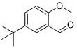5-Tert-butil-2-OMebenzaldeide