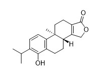 Triptofenolide in polvere bianca a bianca (CAS n. 74285-86-2)