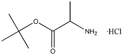 Tert-butyl L-alaninato cloridrato CAS. 13404-22-3 Purezza da bianca a bianca 98% Punto di fusione 168-175 °C